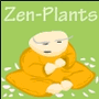 Zen-Plants spielen