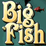 Big Fish spielen